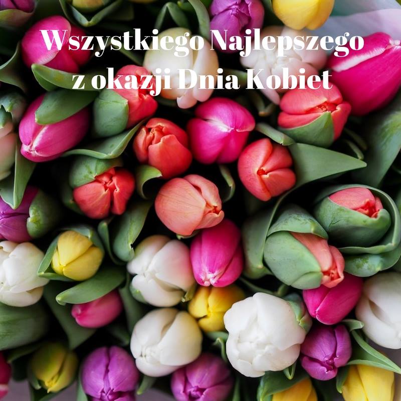 bukiet tulipanów
