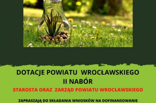 żarówka leżąca na trawie, wypełniona kamykami i zieloną rośliną. 