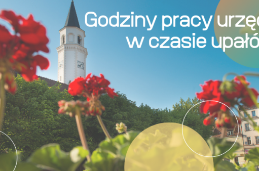zdjęcie przedstawia wieżę ratusza w tle, na pierwszym planie są kwiaty pelargonii