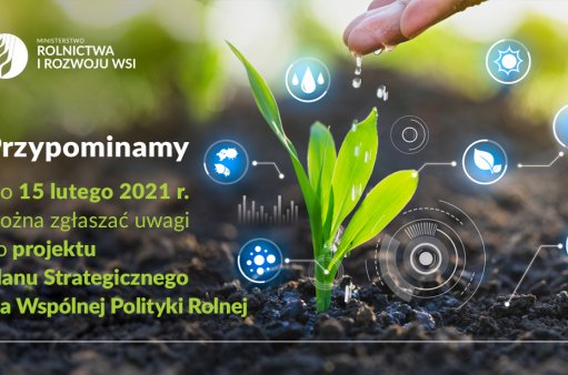 zielona roślina skraplana wodą lecącą z ręki