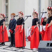 Wyświetl org. rozmiar