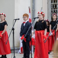 Wyświetl org. rozmiar