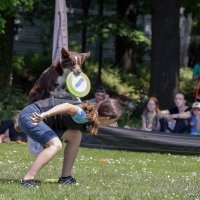 Wyświetl org. rozmiar