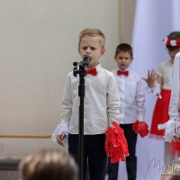 Wyświetl org. rozmiar