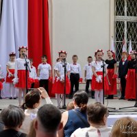 Wyświetl org. rozmiar