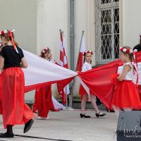 Wyświetl org. rozmiar