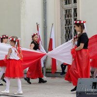 Wyświetl org. rozmiar