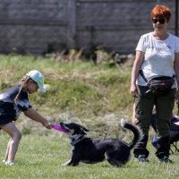 Wyświetl org. rozmiar
