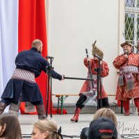 Wyświetl org. rozmiar