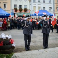 Wyświetl org. rozmiar