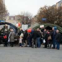 Wyświetl org. rozmiar