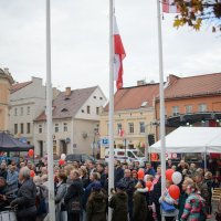 Wyświetl org. rozmiar