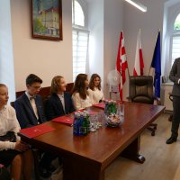 Wyświetl org. rozmiar